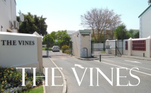 The Vines